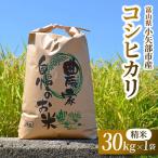 令和8年 コシヒカリ 精米 30kg×1袋