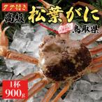 特撰 松葉がに 生 900g1杯 ※足の欠けなし