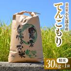 令和8年産米 てんこもり 精米 30kg×1袋