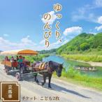 京馬車で行くトロッコ亀岡駅から保津川下り乗船場コース