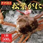 特撰 松葉がに 生 500g1杯 ※足の欠けなし