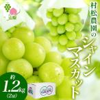 ショッピングふるさと納税 シャインマスカット ふるさと納税 笛吹市 【2026年先行予約】農園こだわりの甘い「シャインマスカット」約1.2kg 村松農園 山梨県 笛吹市