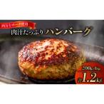 ふるさと納税 須崎市 ハンバーグ 四万十ポーク 入り 1.2kg ( 200g × 6個 ) 真空 小分け 個包装