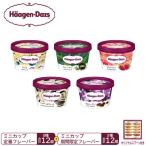 ふるさと納税 高崎市 《15B002》ハーゲンダッツ パーティーセット