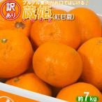 蔵姫 くらひめ 紅甘夏 訳あり 優品 約7kg
