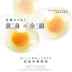 至福のたまご 黄身の余韻 10個入り×4パックセット