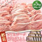 肥前さくらポーク ロース 500g