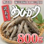 めひかり 干物 800g