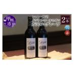 ふるさと納税 甲州市 【ノンアルコールワイン】カツヌマグレープ赤2本セット B-714