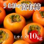 うま杉の富有柿 富有柿