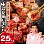 ふるさと納税 泉佐野市 【訳あり】牛ヒレ 切り落とし 2.5kg 小分け 500g×5P 氷温熟成×特製ダレ mrz0152