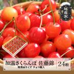 ふるさと納税 尾花沢