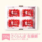 ふるさと納税 村山市 さくらんぼ佐藤錦　赤秀L玉(約180g×4パック)