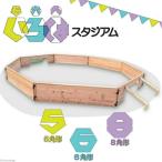 木製 ストリート サッカー いろは 五六八 スタジアム