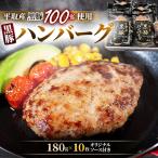 平取産黒豚ハンバーグ180g×10枚