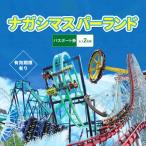 ナガシマスパーランド パスポート券 大人2名