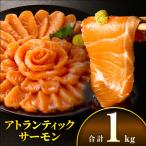 ふるさと納税 宮崎市 アトランティックサーモン1kg(宮崎市)