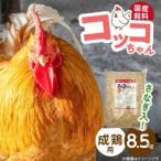 コッコちゃん 成鶏用 さなぎ入 8.5kg