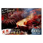 fu.... налог юг . общий город [ натуральный ] Boyle рефрижератор Исэ город море . половина 600g( половина .6~8 шт ) mi0020-0013