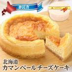 夢民舎 カマンベールチーズケーキ