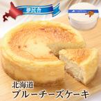 夢民舎 ブルーチーズケーキ
