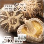 原木栽培 乾しいたけ どんこ 40g×6袋