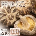 原木栽培 乾しいたけ 肉厚 どんこ 70g×3袋