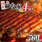 ふるさと納税 新富町 【数量限定】人気の国産うなぎ蒲焼 4尾 計約760g