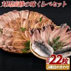 対馬産鯵の味くらべセット 計22枚