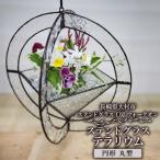 ステンドグラス テラリウム 円形 丸 型 24×24cm