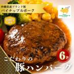 パイナップルポーク ハンバーグ 100g×6個入