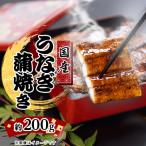 ふるさと納税 和泉市 絶品!!国産うなぎ蒲焼き　特大サイズ(約200g)