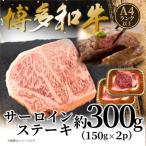 博多和牛サーロインステーキセット 300g