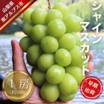ハウス栽培 シャインマスカット1房 約600g