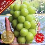 ハウス栽培 産シャインマスカット6房 約3.6kg