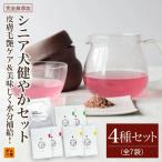 犬の一日 毛艶ケア&美味しく水分補給 シニア犬健やかセット