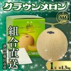ふるさと納税 磐田市 【組合直送】静岡が誇る温室高級マスクメロン「クラウンメロン」1玉(約1.3kg)9月〜2月