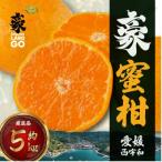豪 蜜柑 5kg