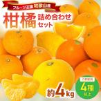 柑橘詰め合わせセット 4種以上