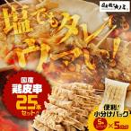 とり皮串25本セット 5本×5パック