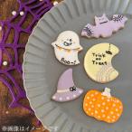 季節を楽しむ可愛いアイシングクッキー5枚セット