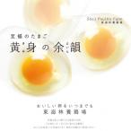 fu.... налог ширина рука город . удача. Tama . желтый .. более .6 шт ×4 упаковка 