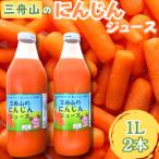 君津三舟山にんじんジュース 1L