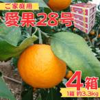 訳あり 愛果28号 約13kg