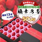 ショッピングふるさと納税 先行予約 ふるさと納税 宇土市 先行予約!2026年2月より発送 糖度13度以上保証 園村苺園のブランド苺「極幸乃香」 500g