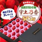 園村苺園 ★最高級苺★糖度15度以上+3Lサイズ以上★