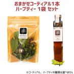 コーディアル 1本