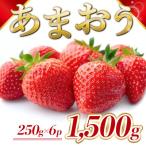 いちご あまおう 約250g×6P