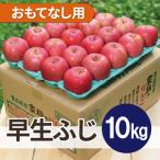 平均糖度12度以上 早生ふじ 約10kg