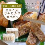 かまぼこ 練り製品 愛媛 八幡浜名物 じゃこ天&amp;じゃこカツ 食べ比べセット